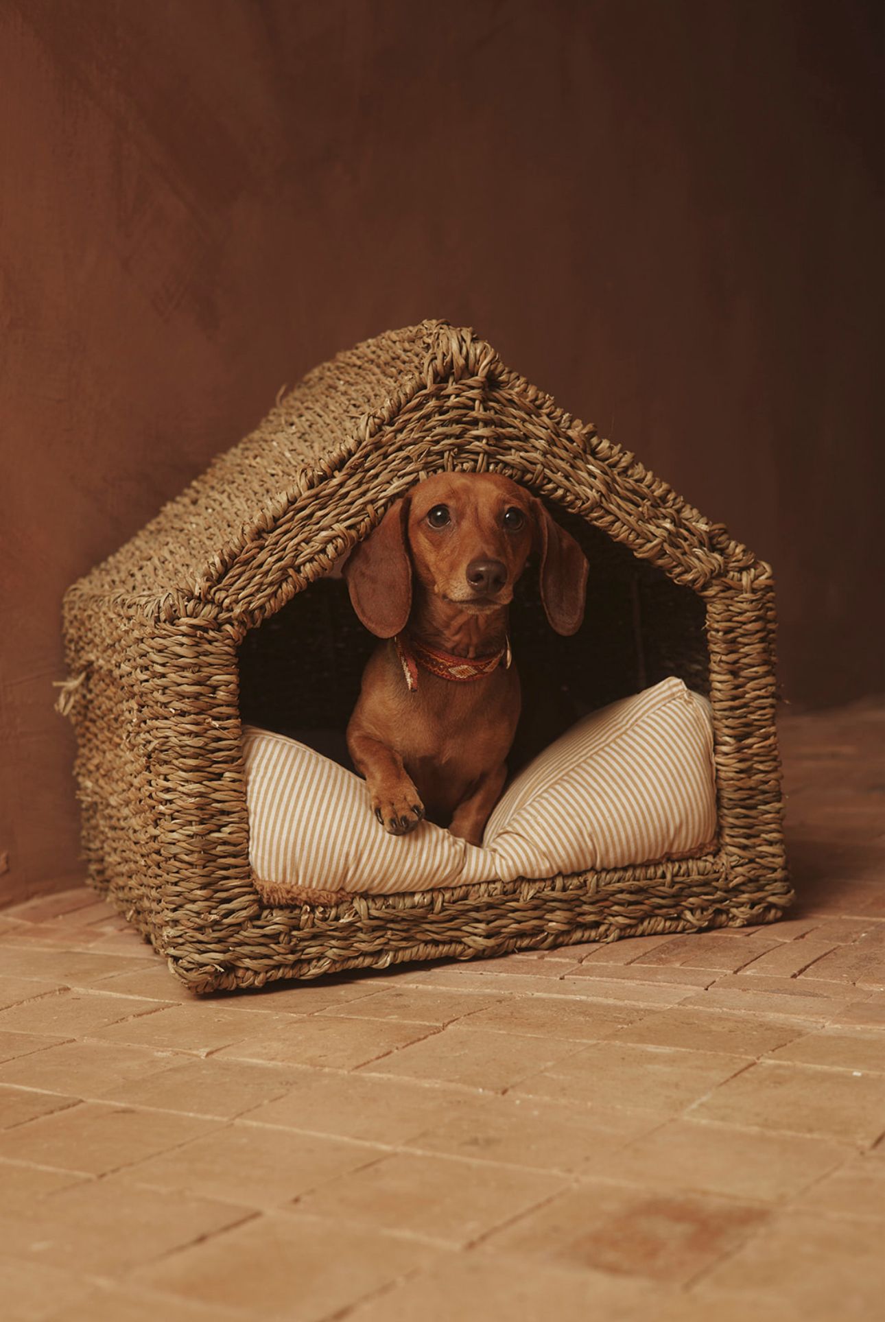 India en su casita